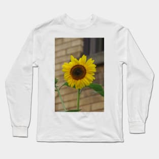 Sunflower days of summer Long Sleeve T-Shirt